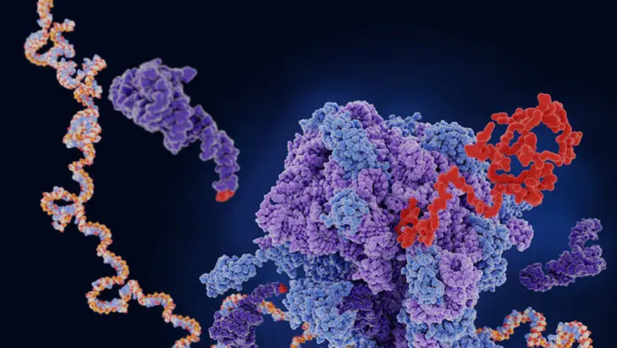 Scientific illustration of lipid nanoparticles central to mRNA delivery systems